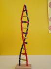 DNA Molekula , E.M. , 8.A