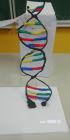 DNA Molekula , N.S. , 8.B