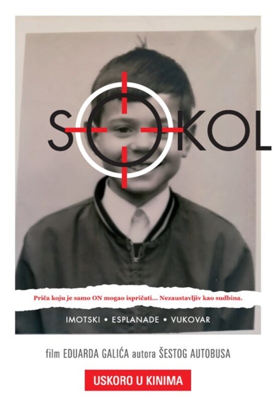 sokol slika